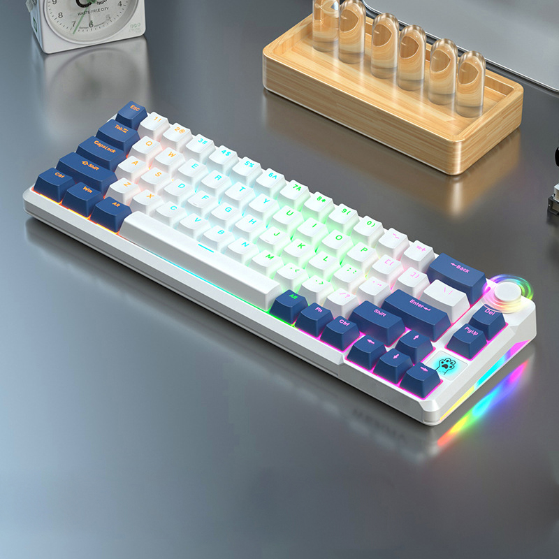 60% dual color injection molded multimedia rotary button RGB 66 key gaming player desktop mechanical keyboard